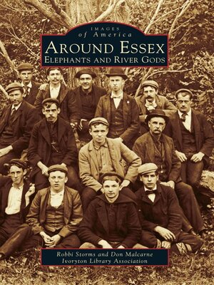 cover image of Around Essex